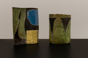 Hanneke van der Kooy